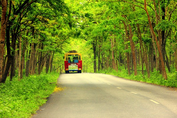 KSRTC Fast Passenger bus to Mysore at Muthanga, Wayanad by Shihab Mecheri