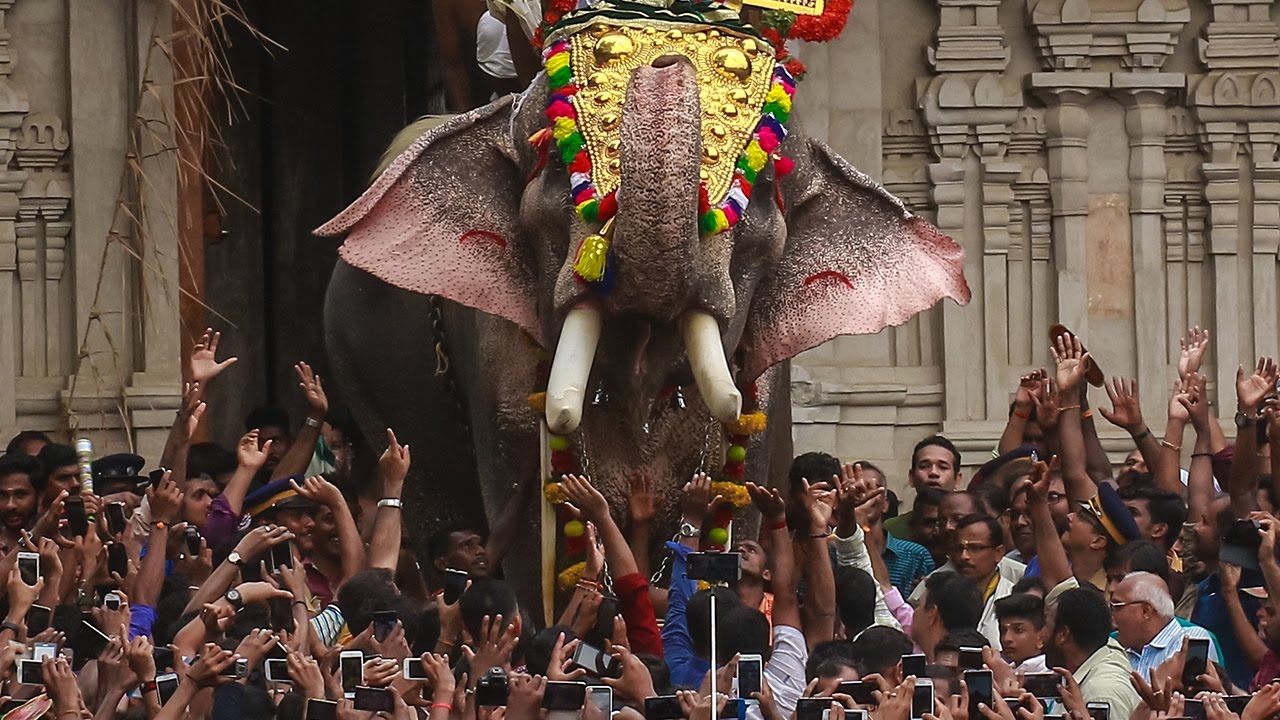 Thrissur Pooram: Five Things to know About Kerala’s Spectacular Temple