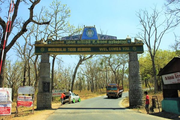 road trip from bangalore to ooty